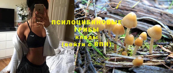 экстази Белокуриха